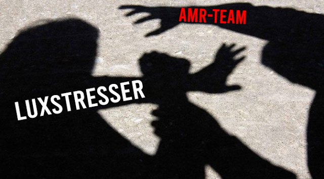 LuxStresser Saldırısı: AMR-TEAM’in İlk İcraatı ve Güvenlik Zafiyetleri