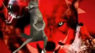 Ghost Kurts: XSS Açıkları ve Mirror-h Üzerindeki Faaliyetleri